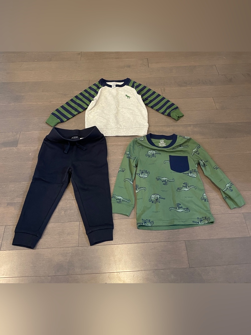 Dino Dinosaur Set Raglan Top Sweatshirt and pants